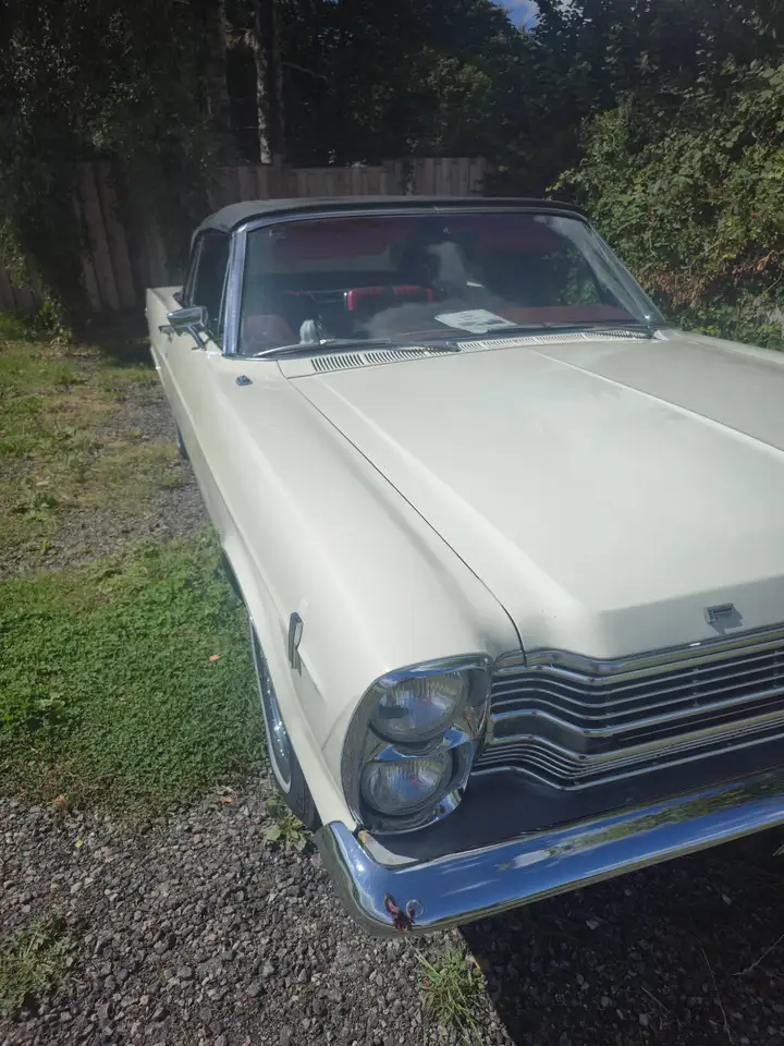 Ford Fairlane, foto 12