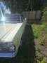 Ford Fairlane Weiß - thumbnail 13