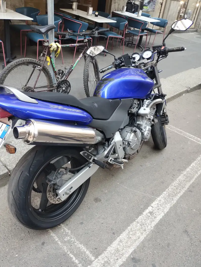 Honda Hornet 600 Blu/Azzurro - 2