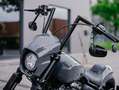 Harley-Davidson Dyna Street Bob FXBB Street BOB M8 mit BSB Customs Umbau Jekill Сірий - thumbnail 26