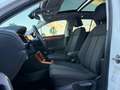 Volkswagen T-Roc T-Roc 1.6 tdi Style Bianco - thumbnail 7