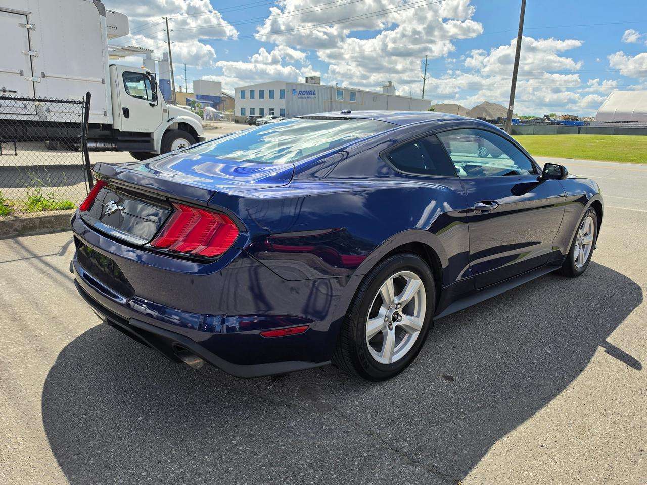 2019 Ford Mustang