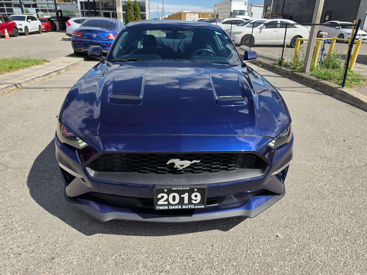 2019 Ford Mustang