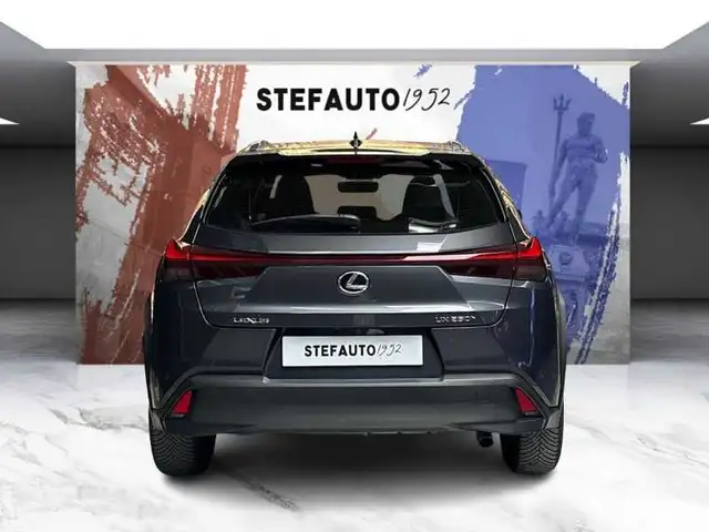 Lexus UX view 6