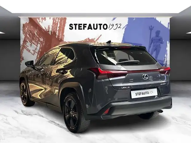 Lexus UX view 5