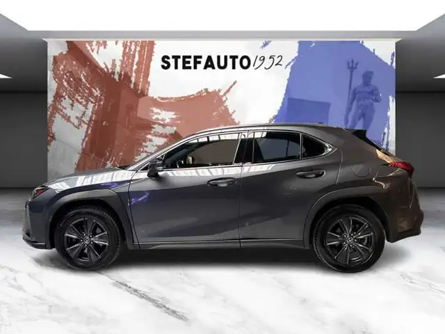 Lexus UX view 4