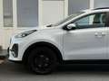 Kia Sportage Black Edition/NUR 44TKM/1TE HAND/JBL Weiß - thumbnail 33