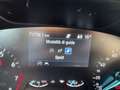 Ford Focus St-Line 1.0 EcoBoost Hybrid 125 CV S&S Manuale Gris - thumbnail 11