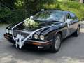 Jaguar Daimler Six Rojo - thumbnail 5
