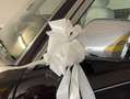 Jaguar Daimler Six Rojo - thumbnail 2