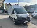 Fiat Ducato 2.3 multijet 140 3.3 l2h2 business Wit - thumbnail 1
