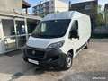 Fiat Ducato 2.3 multijet 140 3.3 l2h2 business Wit - thumbnail 2