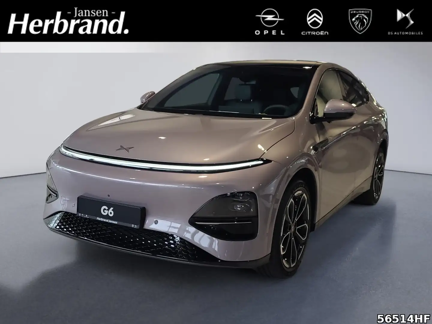 Xpeng G6 AWD Performance 487 PS AT Violett - 1