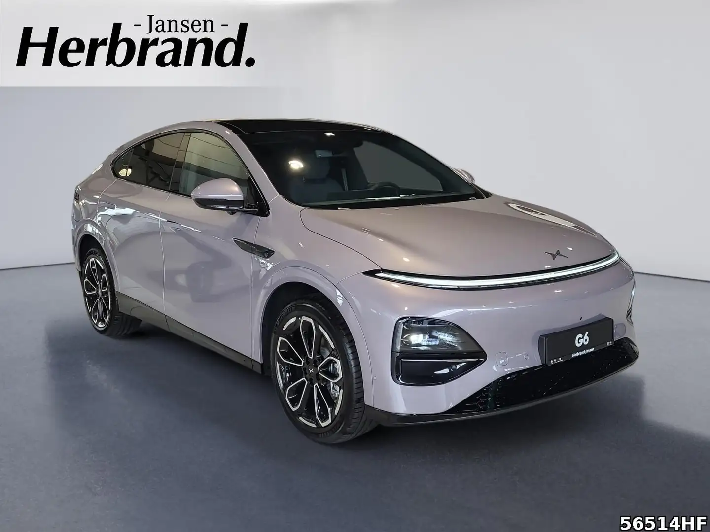 Xpeng G6 AWD Performance 487 PS AT Violett - 2