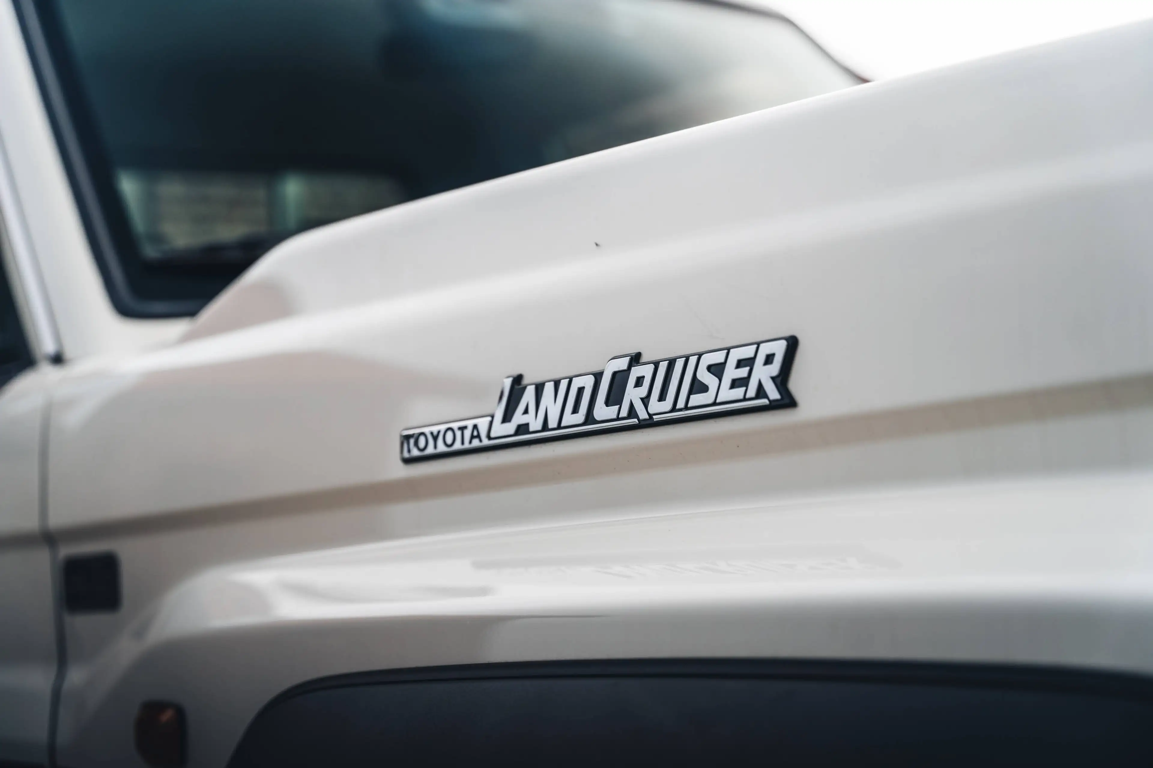 Toyota Land Cruiser GRJ79 70 serie — photo 13
