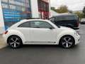 Volkswagen Beetle Sport 1.2 TSI Xenon Vollleder Schiebedach Weiß - thumbnail 4