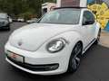 Volkswagen Beetle Sport 1.2 TSI Xenon Vollleder Schiebedach Weiß - thumbnail 1