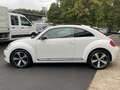 Volkswagen Beetle Sport 1.2 TSI Xenon Vollleder Schiebedach Weiß - thumbnail 8