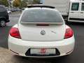 Volkswagen Beetle Sport 1.2 TSI Xenon Vollleder Schiebedach Weiß - thumbnail 6