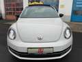 Volkswagen Beetle Sport 1.2 TSI Xenon Vollleder Schiebedach Weiß - thumbnail 2