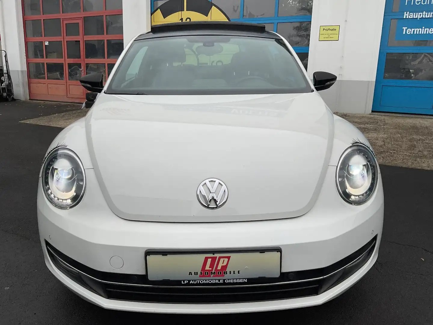 Volkswagen Beetle Sport 1.2 TSI Xenon Vollleder Schiebedach Weiß - 2