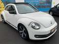 Volkswagen Beetle Sport 1.2 TSI Xenon Vollleder Schiebedach Weiß - thumbnail 3
