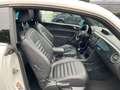 Volkswagen Beetle Sport 1.2 TSI Xenon Vollleder Schiebedach Weiß - thumbnail 22