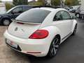 Volkswagen Beetle Sport 1.2 TSI Xenon Vollleder Schiebedach Weiß - thumbnail 5