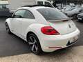 Volkswagen Beetle Sport 1.2 TSI Xenon Vollleder Schiebedach Weiß - thumbnail 7