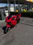 Honda CBR 600 - thumbnail 3