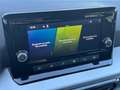 SEAT Ibiza 1.0 TSI S&S Special Edition 110 Gris - thumbnail 15