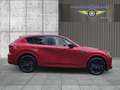 Mazda CX-60 CX-60 AWD e-Skyactiv-PHEV Hybrid Automatik HOMURA Rot - thumbnail 5