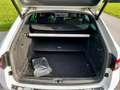 Skoda Superb Superb Kombi 2,0 TDI 4x4 Laurin & Klement Weiß - thumbnail 8