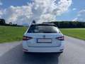 Skoda Superb Superb Kombi 2,0 TDI 4x4 Laurin & Klement Weiß - thumbnail 7