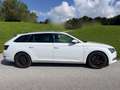 Skoda Superb Superb Kombi 2,0 TDI 4x4 Laurin & Klement Weiß - thumbnail 5