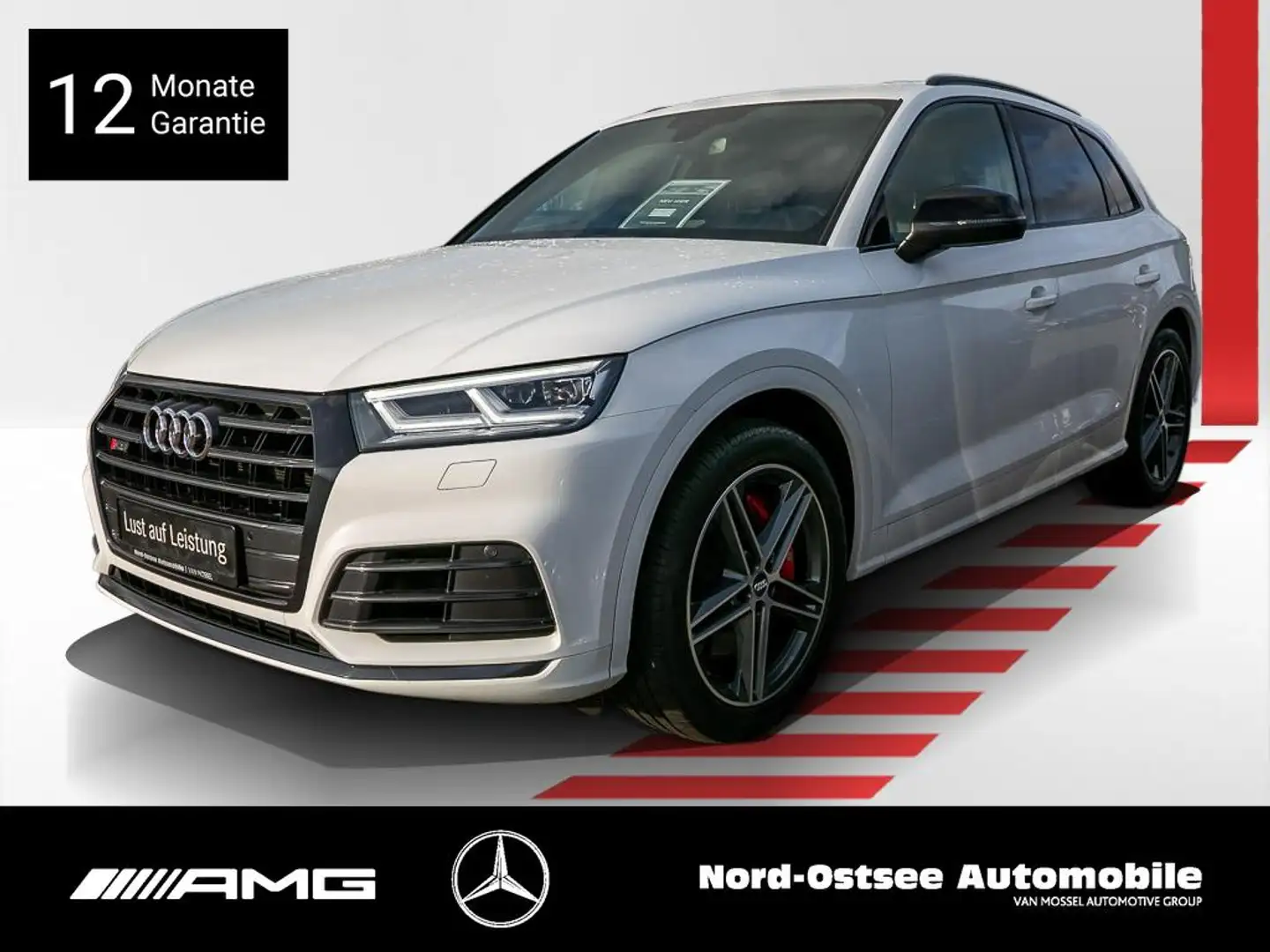 Audi SQ5 3.0 TDI quattro KAMERA AHK NAVI LED PANO Weiß - 1