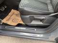 Volkswagen Tiguan 2,0 TDI 4Motion R-Line DSG Grau - thumbnail 14