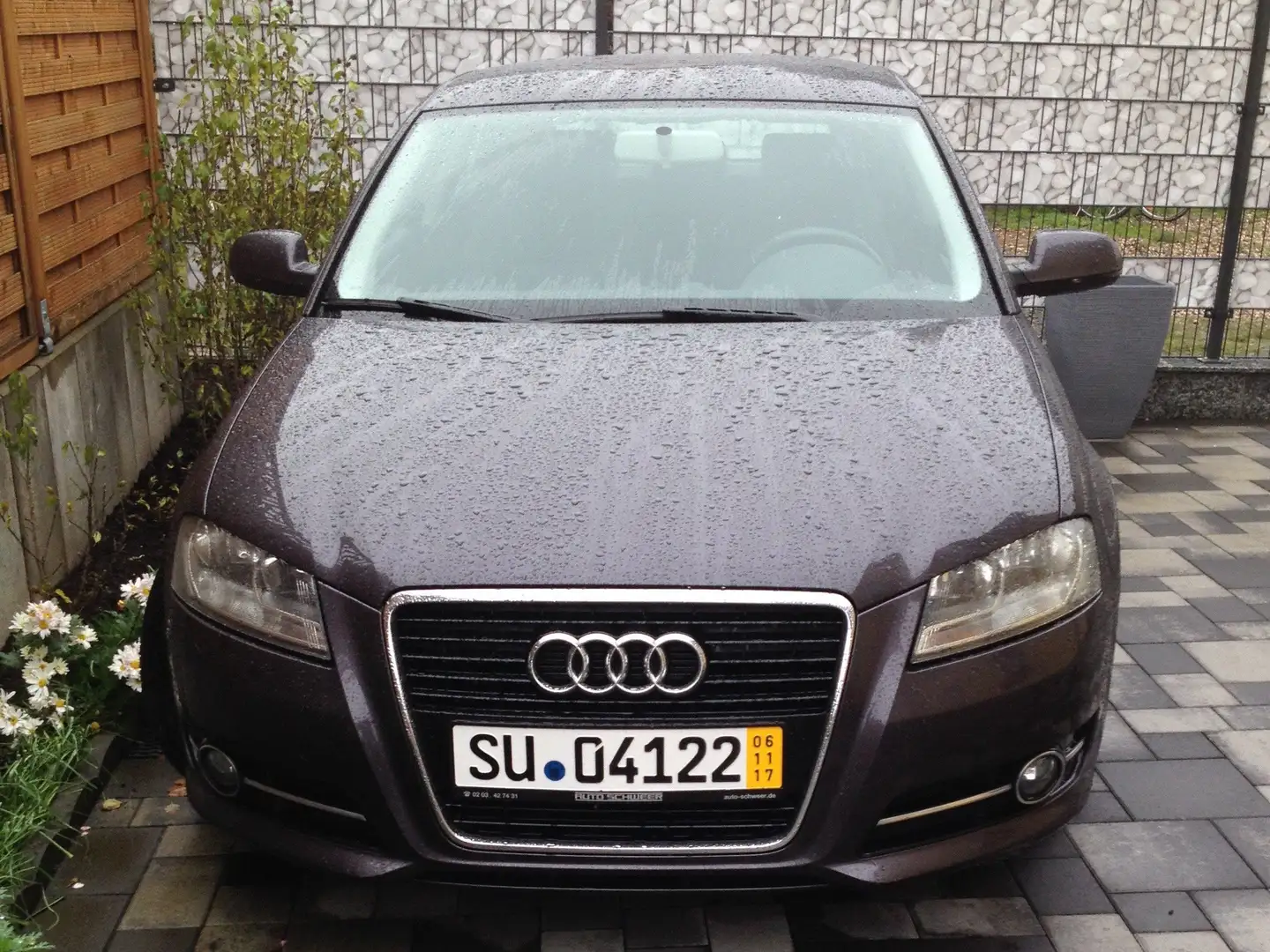 Audi A3 A3 1.4 TFSI Ambition Mauve - 2