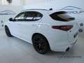 Alfa Romeo Stelvio 2.2 Turbodiesel 210 CV AT8 Q4 Veloce Bianco - thumbnail 4