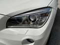 BMW X1 d xDrive 20 BiXenon KlimaA LM PDC Pano SD SHZ Weiß - thumbnail 4