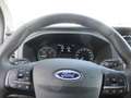 Ford Tourneo Custom 320 L1 Tourneo Titanium, Automatik, Navi, Kamera Grey - thumbnail 10