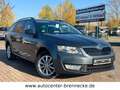 Skoda Octavia Combi Ambition 1.6 TDI  4x4 Grau - thumbnail 1