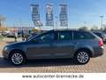 Skoda Octavia Combi Ambition 1.6 TDI  4x4 Grau - thumbnail 8