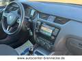 Skoda Octavia Combi Ambition 1.6 TDI  4x4 Grau - thumbnail 12