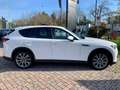 Mazda CX-60 2.5 PHEV Exclusive Line Conv + Driver pack Bianco - thumbnail 4