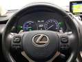 Lexus NX 300 300h Executive Kick Power+ Navigation 4WD Grau - thumbnail 13