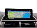 Lexus NX 300 300h Executive Kick Power+ Navigation 4WD Grau - thumbnail 12