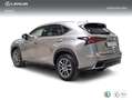 Lexus NX 300 300h Executive Kick Power+ Navigation 4WD Grau - thumbnail 2