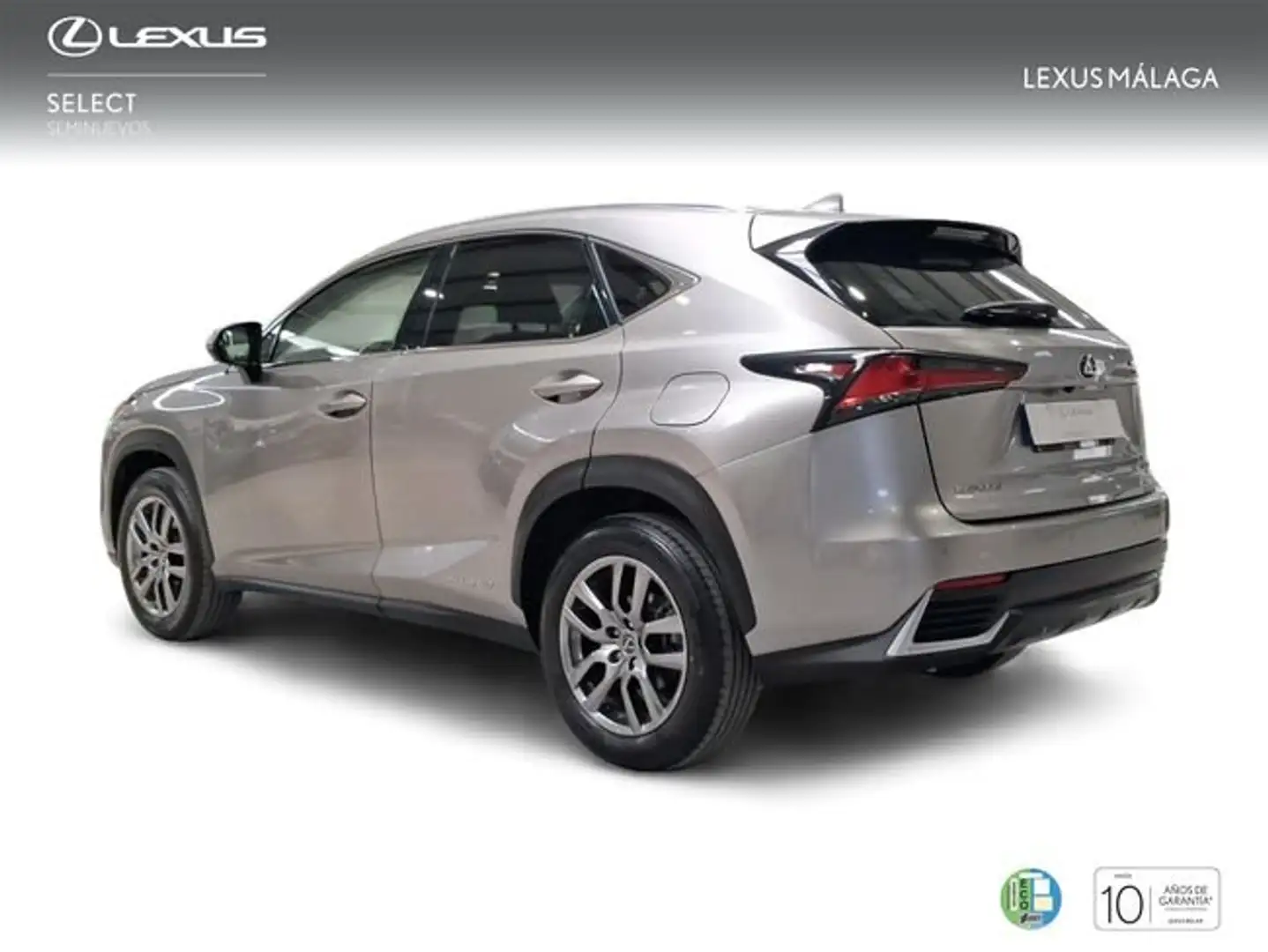 Lexus NX 300 300h Executive Kick Power+ Navigation 4WD Grau - 2