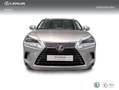Lexus NX 300 300h Executive Kick Power+ Navigation 4WD Grau - thumbnail 5